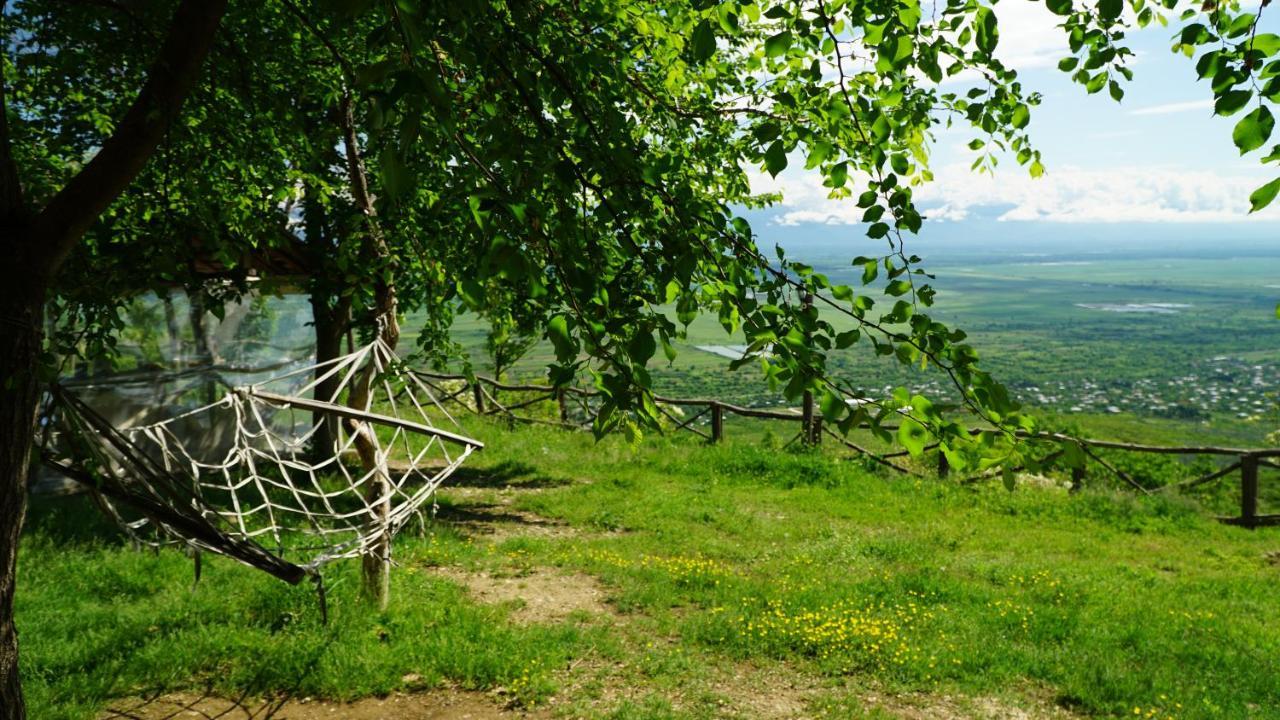 Tsanava'S Cottage In Signagi Exteriér fotografie