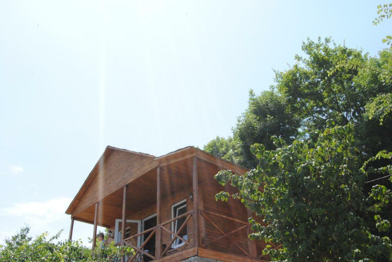 Tsanava'S Cottage In Signagi Exteriér fotografie
